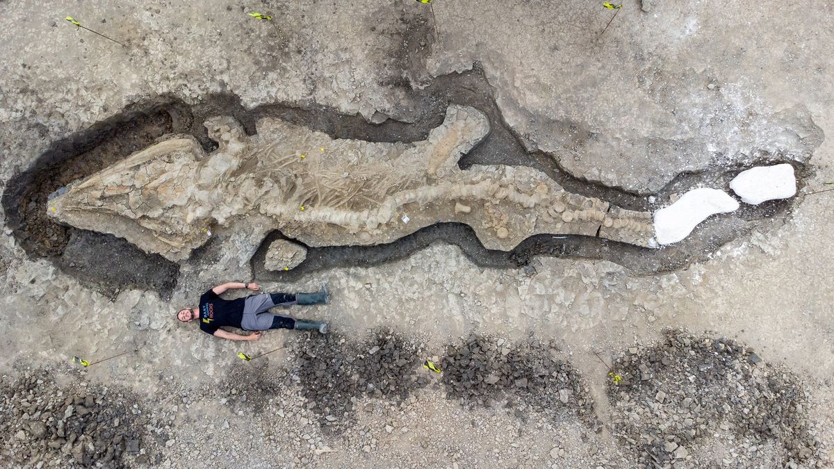 Video: Vědci našli jednu z nejzachovalejších fosilií mořského draka